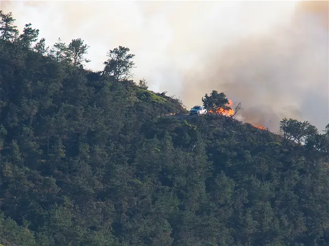 Northern Ontario remains shrouded in wildfire smoke, leading to air quality alerts and health...