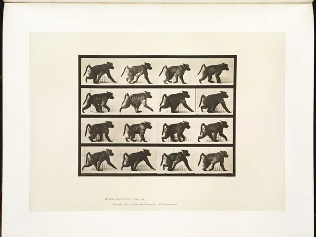 Unbridled enthusiasm or exhilaration unveiled