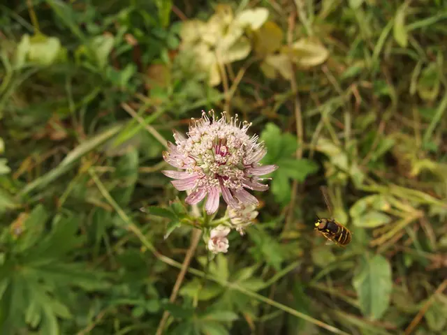 Increased Risks of Nutria Undermining Flood Barriers