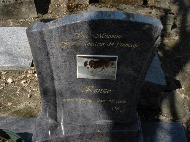 Sebastian Junger ponders over the concept of life after death