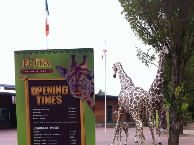 Revitalized Exhibit: The Resurrected Zoological Lab of the Natural History Museum restored its...