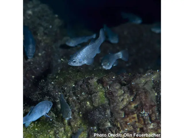 Threatening Ecosystem: Study Finds Exotic Fish Species in Laguna de Bay Could Pose a Hazard