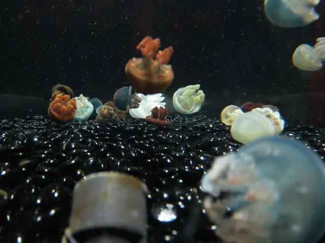 Marine-sourced substance exhibits power against Anthrax