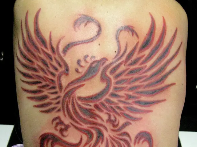 Ancient tattoo artwork discovered on a 2,300-year-old mummy preserved in ice, in a groundbreaking...