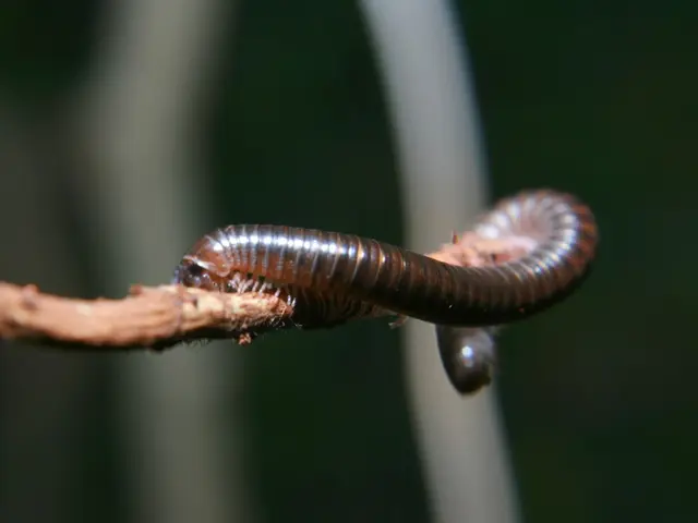 Unusual Behaviors Exhibited by Five Tumors