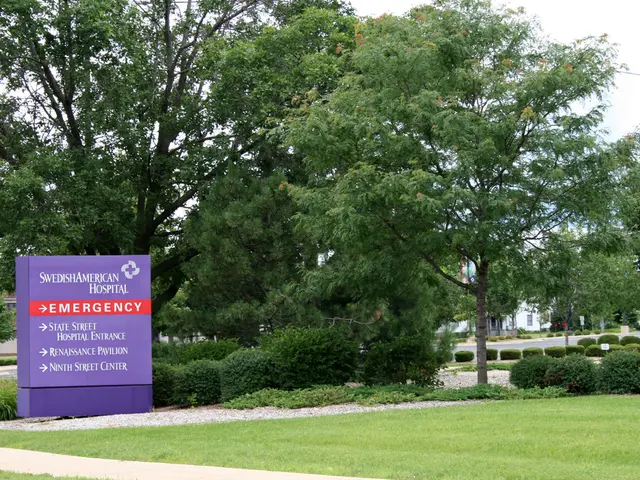 Desperately Rescued in Secluded Woodland: A Mother and Her 9-Year-Old Boy, Stranded and Powerless,...