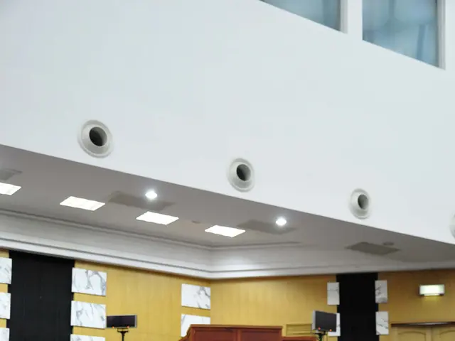 Dementia and hallucinations: Origin and classifications