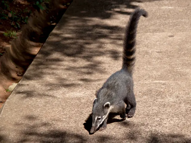 Managing Side Effects of Saxenda: A Guide