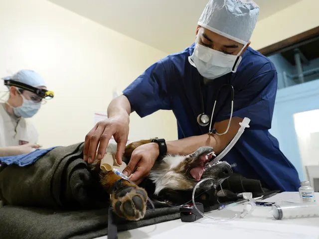 Two individuals in a sauna succumb to carbon monoxide poisoning.