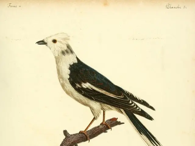 A Collection of Moving Phrases About Huntington's Disease to Motivate You