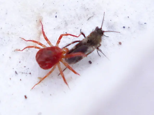 Server Room Menace: Recognizing 4 Potential Risks and Preventive Measures