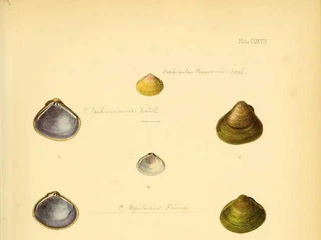 Shell-blowing tradition may aid in managing frequent sleep problems