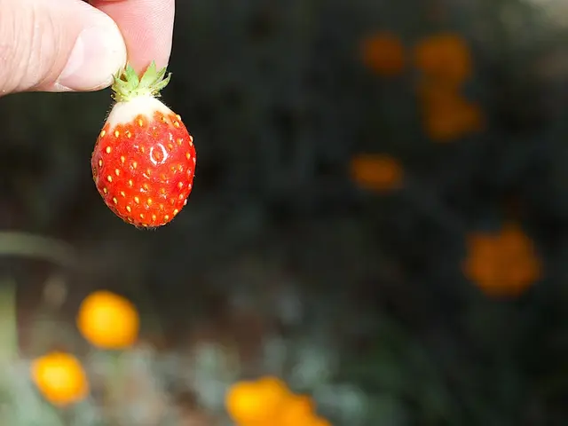 Natural Remedy for Acid Reflux: Ginger