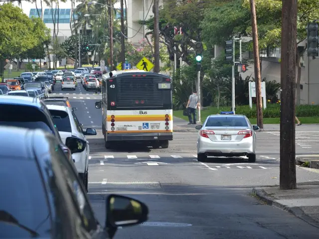 Compulsory eye examinations for senior motorists in driver safety initiative underway
