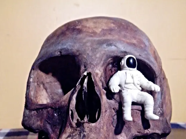 Uncovered Asteroid Particles Predated by Earth's Existence Unearthed in a Suburban Household