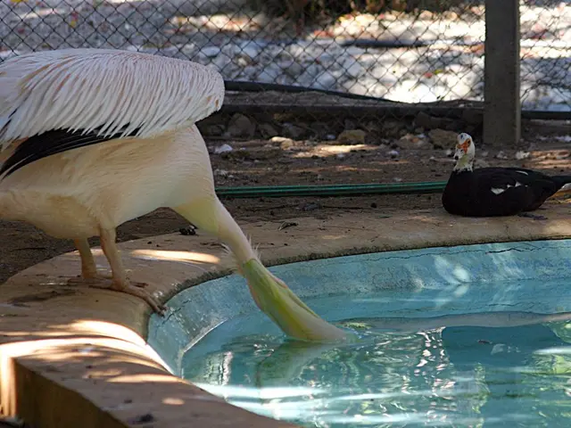 Beers contain 'Perennial pollutants' called 'Forever chemicals'
