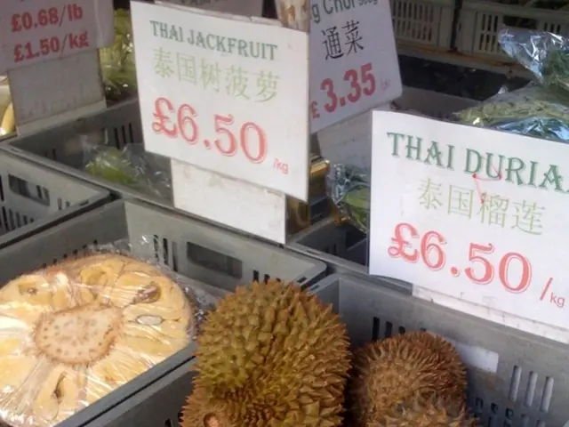 Eli Lilly's Shares Surge Today for Unspecified Reasons