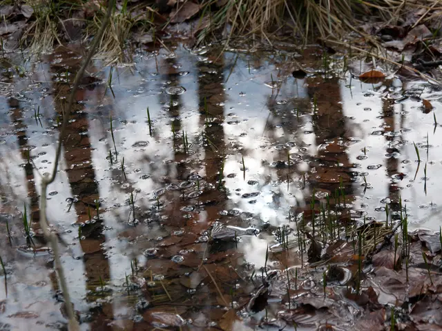 Product's water content is calculated using the given formula: