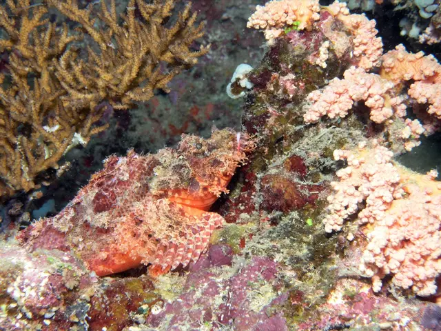 Climate Change Deals a Triple Punch to Deep-Sea Biodiversity