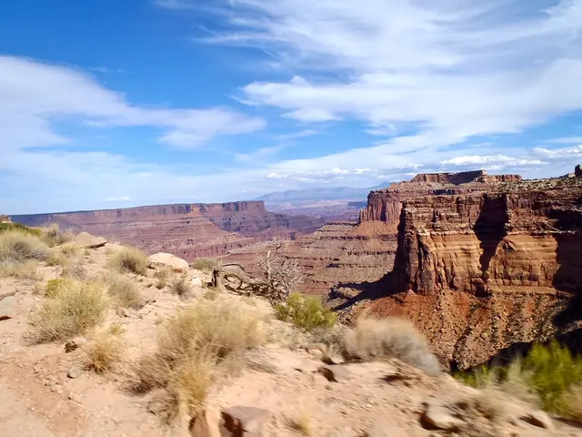 Child succumbs during hiking excursion - extensive rescue effort required