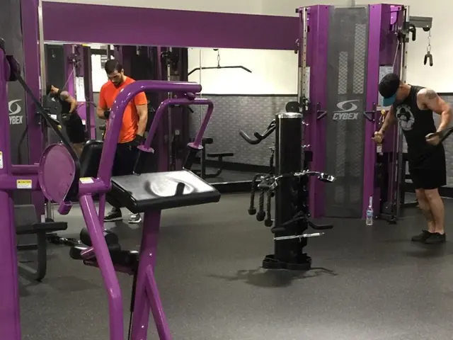 High-Performance Training Transformation: The Groundbreaking Impact of Mentally-Guided Exercise...