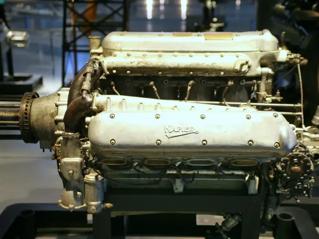 Google selects Daiser for its AI accelerator program