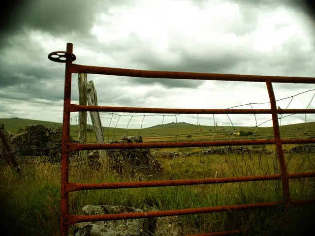 Bavaria experiences a heated Friday on the horizon