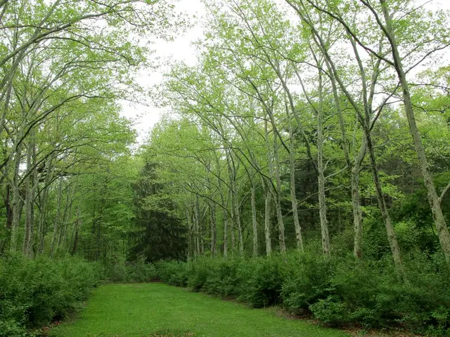 Enhancing Biodiversity for Resilience in Climate Conditions within Permaculture Practices