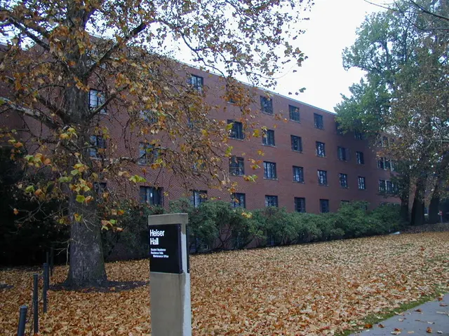 Dementia-Related Wanderings and Spatial Understanding