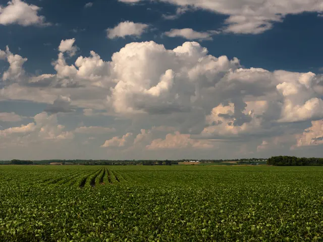 Linking Nature Restoration to Advantages for Mental Health