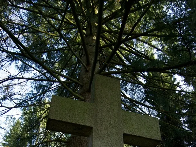 Exploring CrossFit: Key Inquiries for Embarking on a Fitness Journey with the Regime