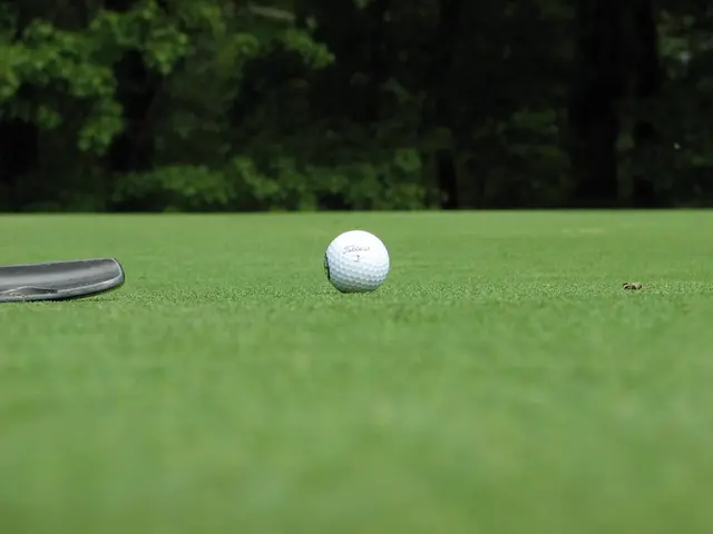 Artificial turf made from organic substances launched in Ellwangen