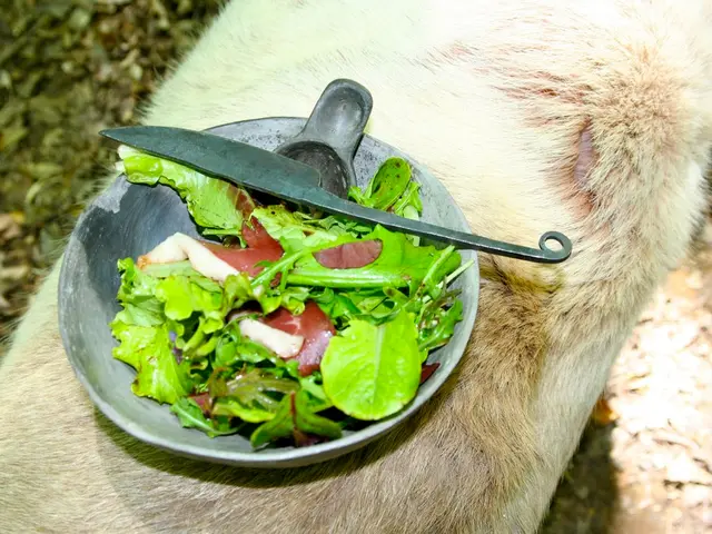 Enhancing Dietary Solutions for Optimal Digestion and Balanced Gut Microorganisms