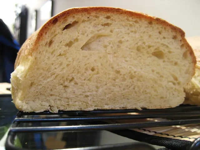 Eco-friendly Measures in the Production of Baking Apparatus