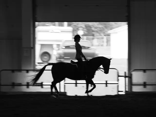 Struggles of Daily Life and Work for a Nurse and Equestrian Facing COVID-19: Their Personal Battles...