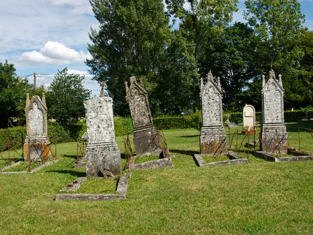 Death Lacking a Plan Increases Financial Burden and Time Expenditure