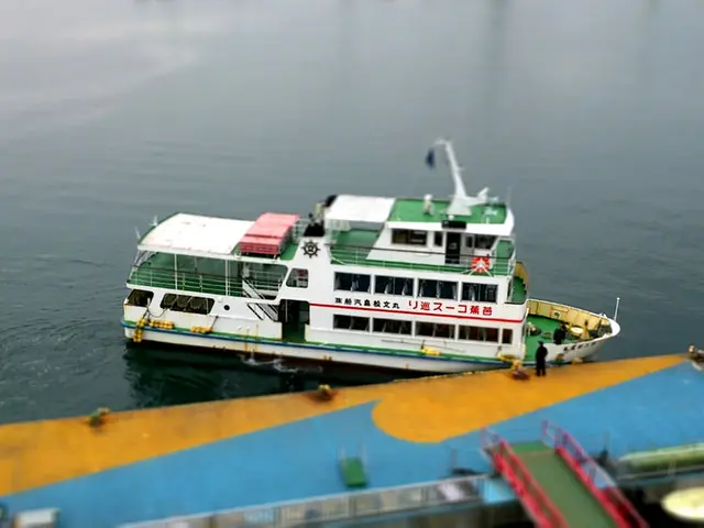 Marine Safety Code Health Assessments - Trends of 2018