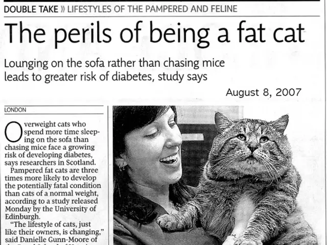 Exploring Post-Traumatic Stress Disorder Following Sexual Violation