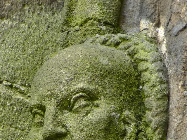 In this picture we can see a man face sculpture to the wall.