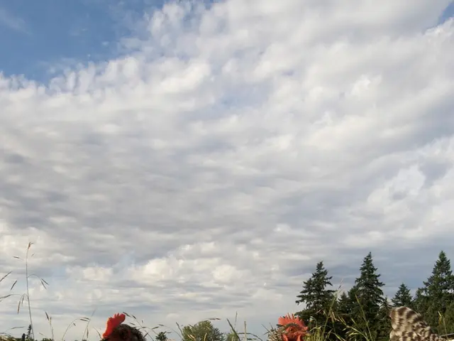 In this image I can see few birds, they are in brown and red color and I can see trees in green...