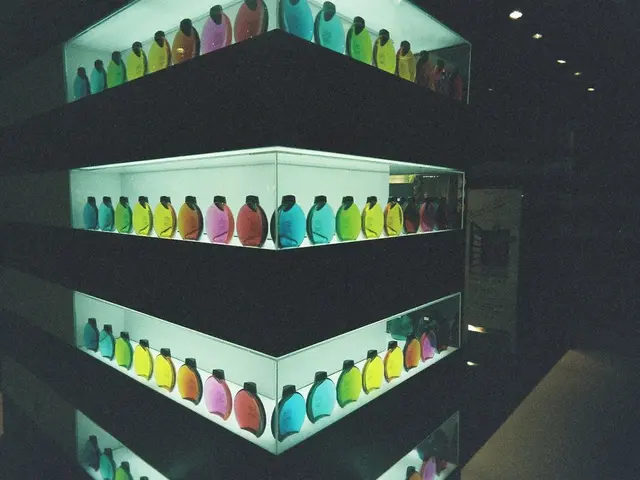 In this image I can see many bottles in the rack.